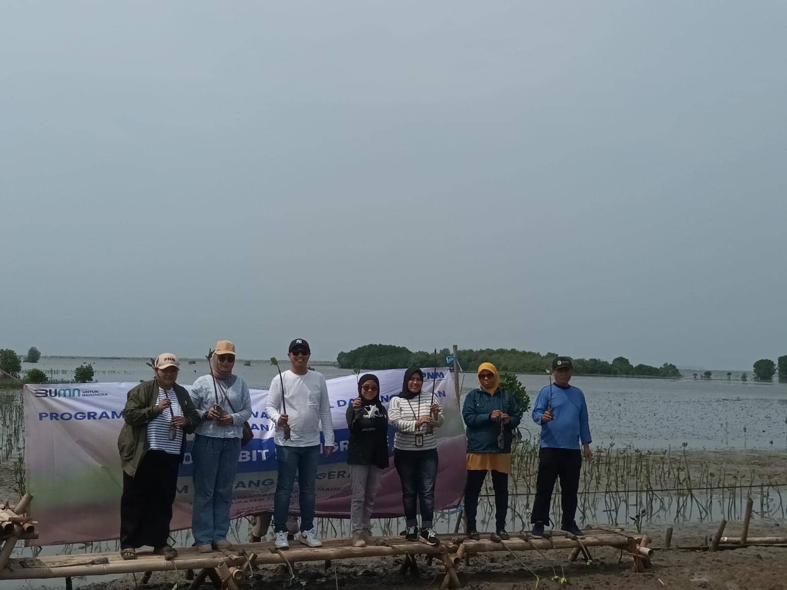 Bantu Wujudkan Indonesia Hijau, PNM Kembali Tanam 5.000 Mangrove di Ketapang Tangerang